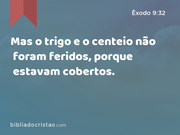 Mas o trigo e o centeio não foram feridos, porque estavam cobertos. - Êxodo 9:32
