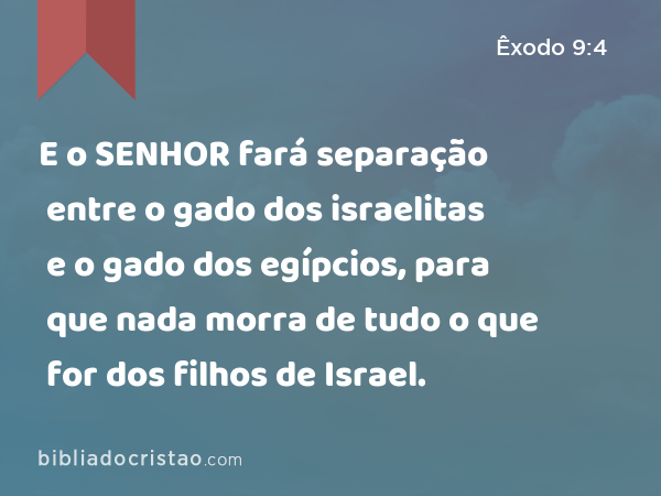 E o SENHOR fará separação entre o gado dos israelitas e o gado dos egípcios, para que nada morra de tudo o que for dos filhos de Israel. - Êxodo 9:4