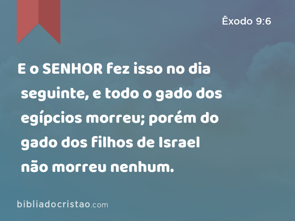 E o SENHOR fez isso no dia seguinte, e todo o gado dos egípcios morreu; porém do gado dos filhos de Israel não morreu nenhum. - Êxodo 9:6