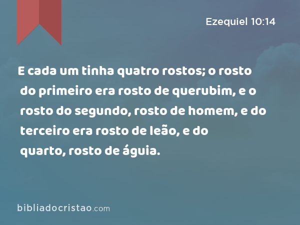 E cada um tinha quatro rostos; o rosto do primeiro era rosto de querubim, e o rosto do segundo, rosto de homem, e do terceiro era rosto de leão, e do quarto, rosto de águia. - Ezequiel 10:14