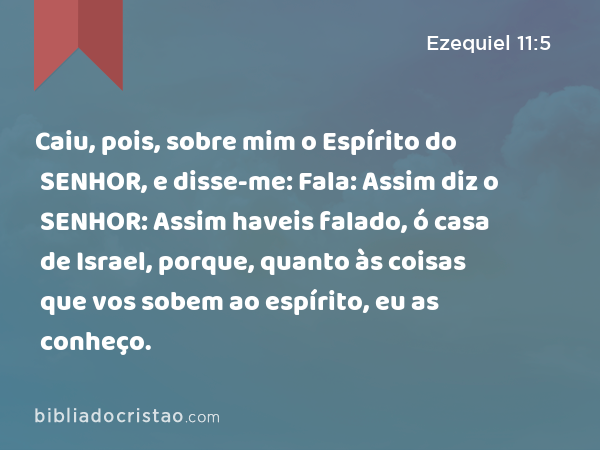 Caiu, pois, sobre mim o Espírito do SENHOR, e disse-me: Fala: Assim diz o SENHOR: Assim haveis falado, ó casa de Israel, porque, quanto às coisas que vos sobem ao espírito, eu as conheço. - Ezequiel 11:5