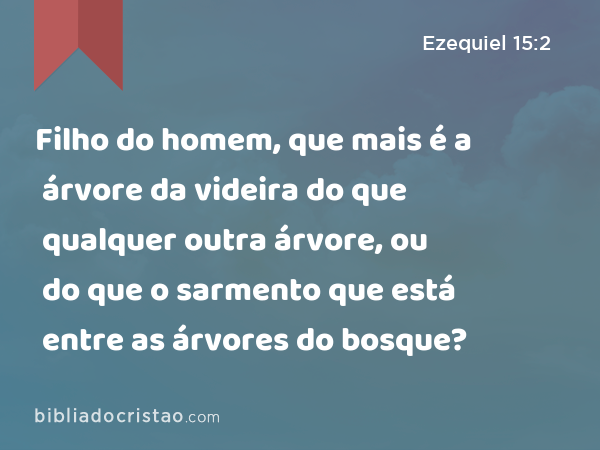 Filho do homem, que mais é a árvore da videira do que qualquer outra árvore, ou do que o sarmento que está entre as árvores do bosque? - Ezequiel 15:2