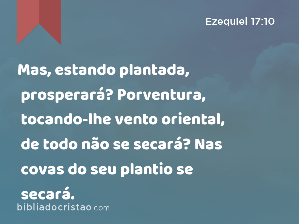 Mas, estando plantada, prosperará? Porventura, tocando-lhe vento oriental, de todo não se secará? Nas covas do seu plantio se secará. - Ezequiel 17:10