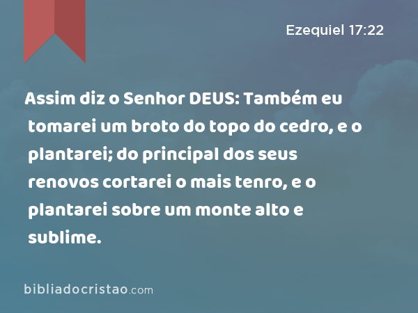 Assim diz o Senhor DEUS: Também eu tomarei um broto do topo do cedro, e o plantarei; do principal dos seus renovos cortarei o mais tenro, e o plantarei sobre um monte alto e sublime. - Ezequiel 17:22