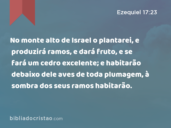 No monte alto de Israel o plantarei, e produzirá ramos, e dará fruto, e se fará um cedro excelente; e habitarão debaixo dele aves de toda plumagem, à sombra dos seus ramos habitarão. - Ezequiel 17:23