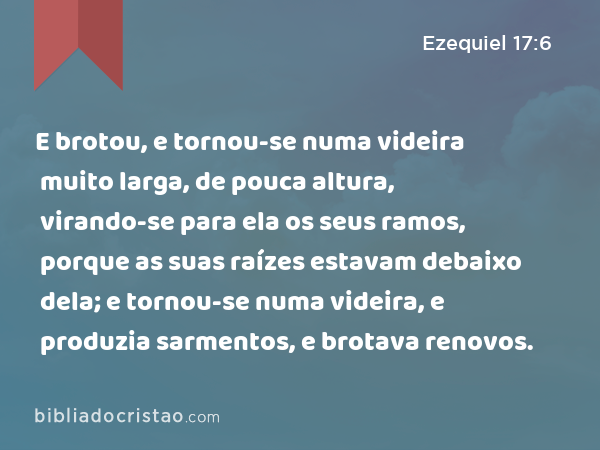 E brotou, e tornou-se numa videira muito larga, de pouca altura, virando-se para ela os seus ramos, porque as suas raízes estavam debaixo dela; e tornou-se numa videira, e produzia sarmentos, e brotava renovos. - Ezequiel 17:6