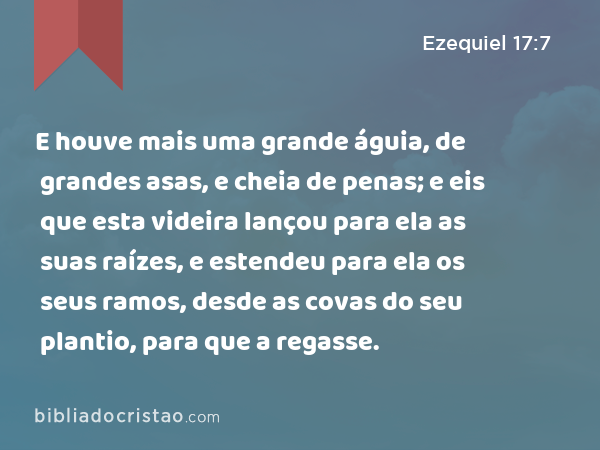 E houve mais uma grande águia, de grandes asas, e cheia de penas; e eis que esta videira lançou para ela as suas raízes, e estendeu para ela os seus ramos, desde as covas do seu plantio, para que a regasse. - Ezequiel 17:7