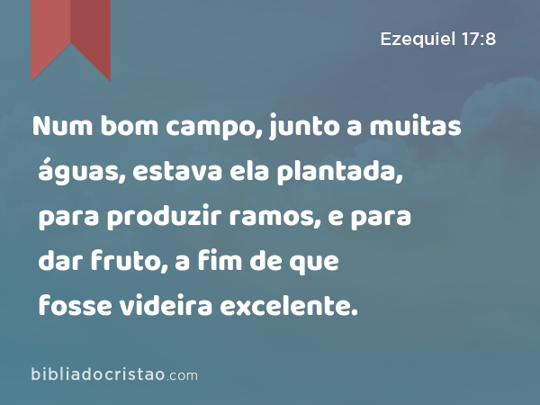 Num bom campo, junto a muitas águas, estava ela plantada, para produzir ramos, e para dar fruto, a fim de que fosse videira excelente. - Ezequiel 17:8