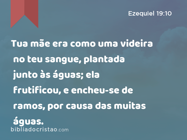 Tua mãe era como uma videira no teu sangue, plantada junto às águas; ela frutificou, e encheu-se de ramos, por causa das muitas águas. - Ezequiel 19:10