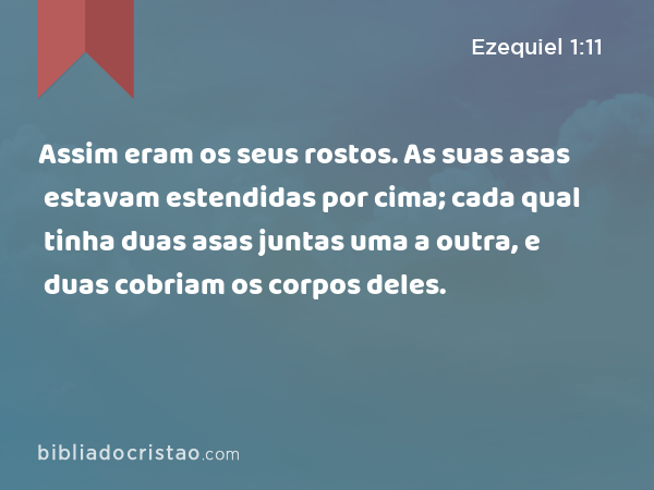 Assim eram os seus rostos. As suas asas estavam estendidas por cima; cada qual tinha duas asas juntas uma a outra, e duas cobriam os corpos deles. - Ezequiel 1:11