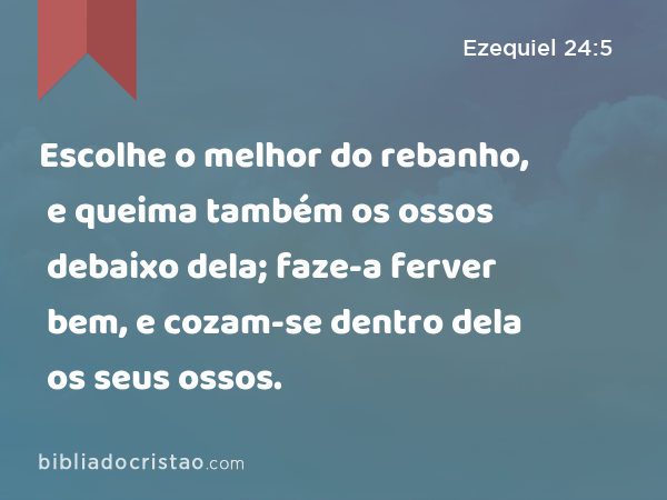 Escolhe o melhor do rebanho, e queima também os ossos debaixo dela; faze-a ferver bem, e cozam-se dentro dela os seus ossos. - Ezequiel 24:5