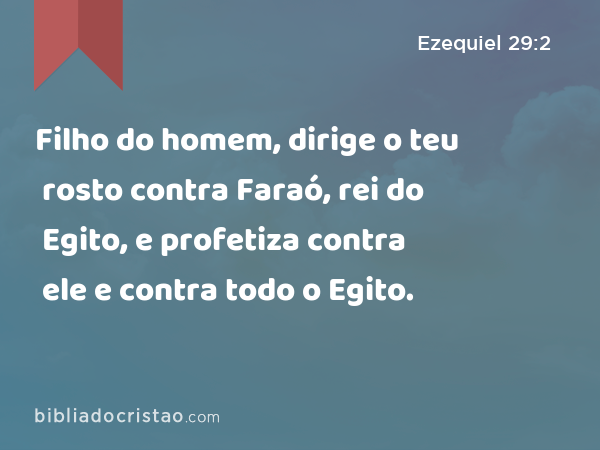 Filho do homem, dirige o teu rosto contra Faraó, rei do Egito, e profetiza contra ele e contra todo o Egito. - Ezequiel 29:2