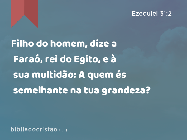 Filho do homem, dize a Faraó, rei do Egito, e à sua multidão: A quem és semelhante na tua grandeza? - Ezequiel 31:2