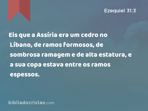 Eis que a Assíria era um cedro no Líbano, de ramos formosos, de sombrosa ramagem e de alta estatura, e a sua copa estava entre os ramos espessos. - Ezequiel 31:3