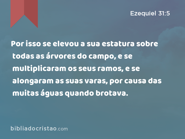 Por isso se elevou a sua estatura sobre todas as árvores do campo, e se multiplicaram os seus ramos, e se alongaram as suas varas, por causa das muitas águas quando brotava. - Ezequiel 31:5