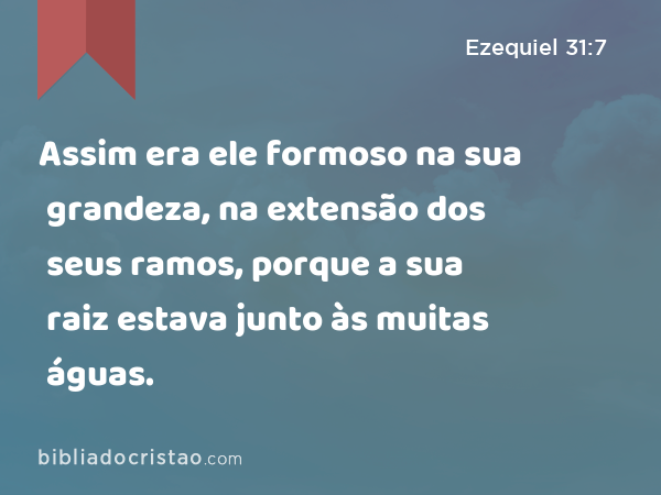 Assim era ele formoso na sua grandeza, na extensão dos seus ramos, porque a sua raiz estava junto às muitas águas. - Ezequiel 31:7