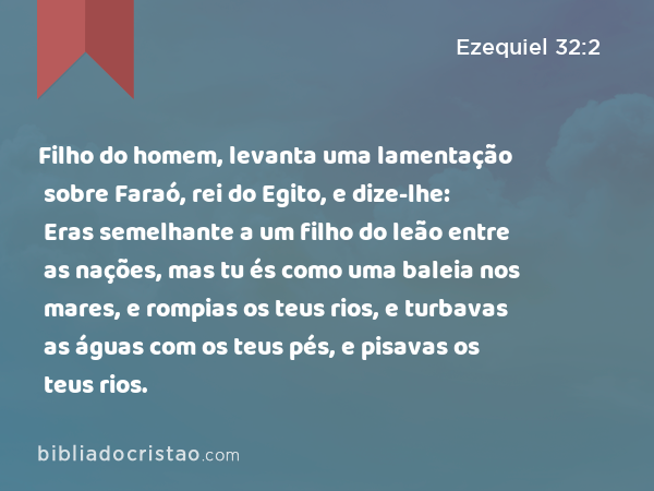 Filho do homem, levanta uma lamentação sobre Faraó, rei do Egito, e dize-lhe: Eras semelhante a um filho do leão entre as nações, mas tu és como uma baleia nos mares, e rompias os teus rios, e turbavas as águas com os teus pés, e pisavas os teus rios. - Ezequiel 32:2