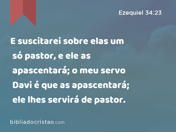 E suscitarei sobre elas um só pastor, e ele as apascentará; o meu servo Davi é que as apascentará; ele lhes servirá de pastor. - Ezequiel 34:23