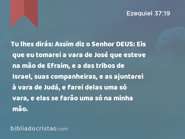 Tu lhes dirás: Assim diz o Senhor DEUS: Eis que eu tomarei a vara de José que esteve na mão de Efraim, e a das tribos de Israel, suas companheiras, e as ajuntarei à vara de Judá, e farei delas uma só vara, e elas se farão uma só na minha mão. - Ezequiel 37:19