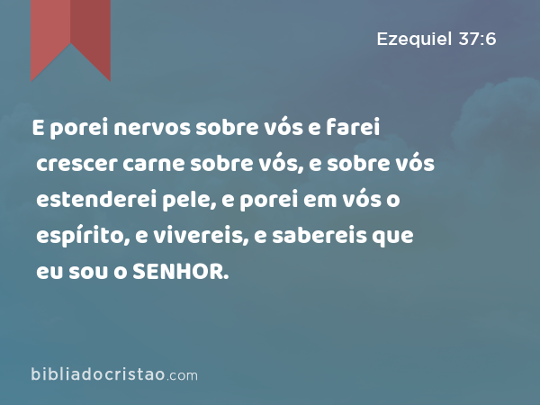 E porei nervos sobre vós e farei crescer carne sobre vós, e sobre vós estenderei pele, e porei em vós o espírito, e vivereis, e sabereis que eu sou o SENHOR. - Ezequiel 37:6