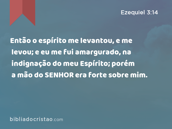 Então o espírito me levantou, e me levou; e eu me fui amargurado, na indignação do meu Espírito; porém a mão do SENHOR era forte sobre mim. - Ezequiel 3:14