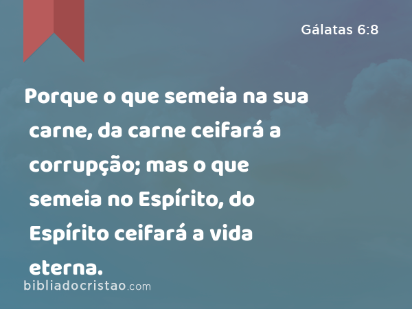 Porque o que semeia na sua carne, da carne ceifará a corrupção; mas o que semeia no Espírito, do Espírito ceifará a vida eterna. - Gálatas 6:8