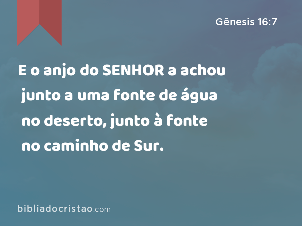 E o anjo do SENHOR a achou junto a uma fonte de água no deserto, junto à fonte no caminho de Sur. - Gênesis 16:7