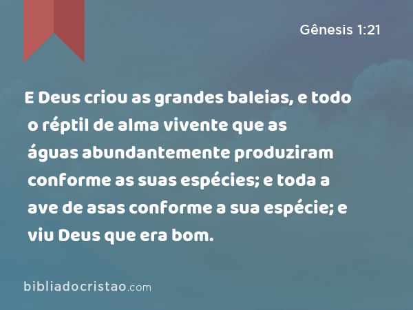 E Deus criou as grandes baleias, e todo o réptil de alma vivente que as águas abundantemente produziram conforme as suas espécies; e toda a ave de asas conforme a sua espécie; e viu Deus que era bom. - Gênesis 1:21