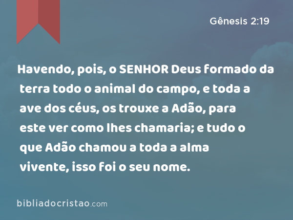 Havendo, pois, o SENHOR Deus formado da terra todo o animal do campo, e toda a ave dos céus, os trouxe a Adão, para este ver como lhes chamaria; e tudo o que Adão chamou a toda a alma vivente, isso foi o seu nome. - Gênesis 2:19