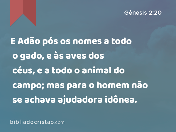 E Adão pós os nomes a todo o gado, e às aves dos céus, e a todo o animal do campo; mas para o homem não se achava ajudadora idônea. - Gênesis 2:20