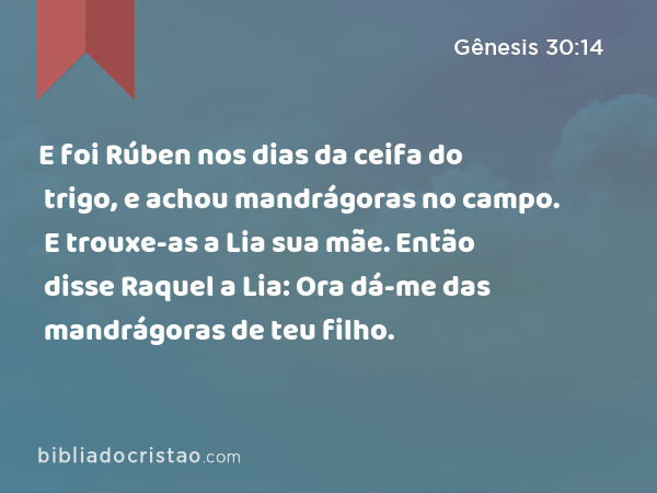 E foi Rúben nos dias da ceifa do trigo, e achou mandrágoras no campo. E trouxe-as a Lia sua mãe. Então disse Raquel a Lia: Ora dá-me das mandrágoras de teu filho. - Gênesis 30:14