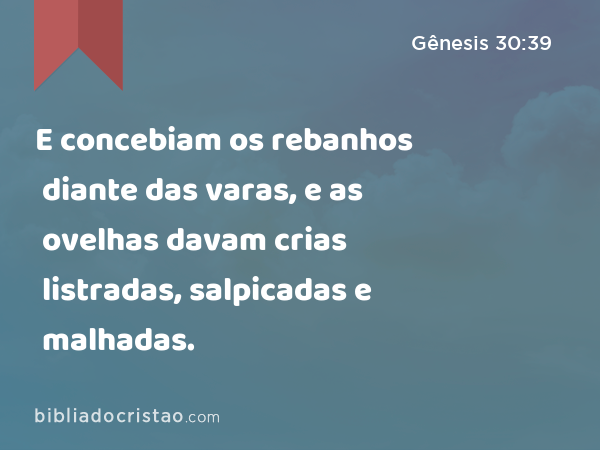 E concebiam os rebanhos diante das varas, e as ovelhas davam crias listradas, salpicadas e malhadas. - Gênesis 30:39