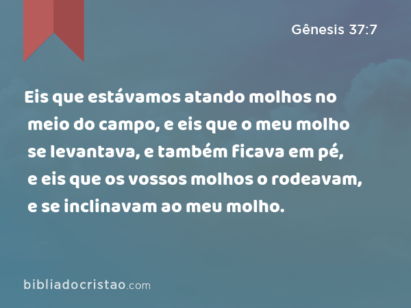 Eis que estávamos atando molhos no meio do campo, e eis que o meu molho se levantava, e também ficava em pé, e eis que os vossos molhos o rodeavam, e se inclinavam ao meu molho. - Gênesis 37:7