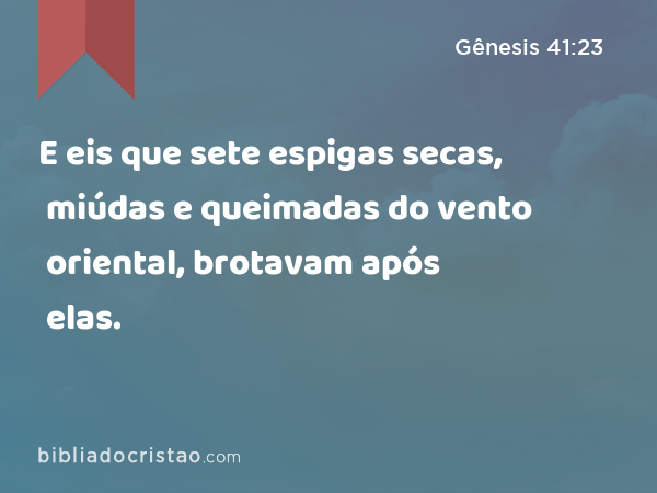 E eis que sete espigas secas, miúdas e queimadas do vento oriental, brotavam após elas. - Gênesis 41:23