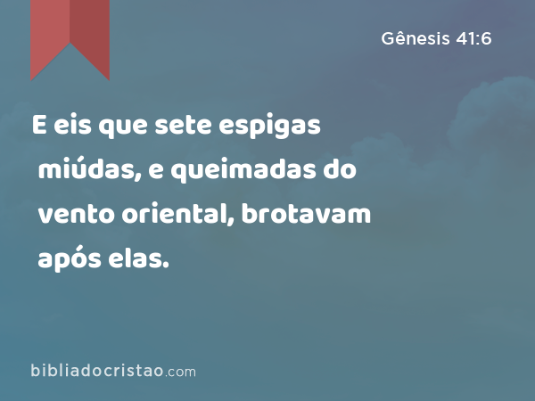 E eis que sete espigas miúdas, e queimadas do vento oriental, brotavam após elas. - Gênesis 41:6