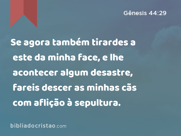 Se agora também tirardes a este da minha face, e lhe acontecer algum desastre, fareis descer as minhas cãs com aflição à sepultura. - Gênesis 44:29