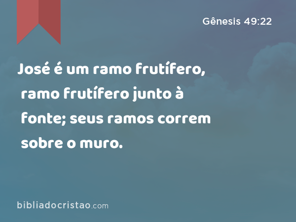 José é um ramo frutífero, ramo frutífero junto à fonte; seus ramos correm sobre o muro. - Gênesis 49:22