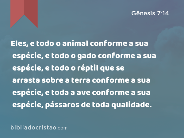 Eles, e todo o animal conforme a sua espécie, e todo o gado conforme a sua espécie, e todo o réptil que se arrasta sobre a terra conforme a sua espécie, e toda a ave conforme a sua espécie, pássaros de toda qualidade. - Gênesis 7:14