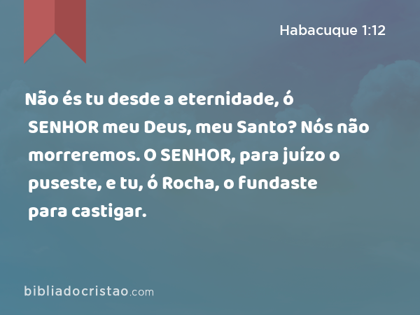 Não és tu desde a eternidade, ó SENHOR meu Deus, meu Santo? Nós não morreremos. O SENHOR, para juízo o puseste, e tu, ó Rocha, o fundaste para castigar. - Habacuque 1:12