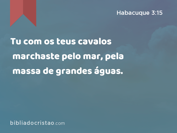 Tu com os teus cavalos marchaste pelo mar, pela massa de grandes águas. - Habacuque 3:15