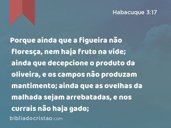 Porque ainda que a figueira não floresça, nem haja fruto na vide; ainda que decepcione o produto da oliveira, e os campos não produzam mantimento; ainda que as ovelhas da malhada sejam arrebatadas, e nos currais não haja gado; - Habacuque 3:17