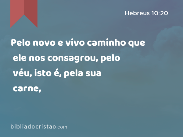 Pelo novo e vivo caminho que ele nos consagrou, pelo véu, isto é, pela sua carne, - Hebreus 10:20