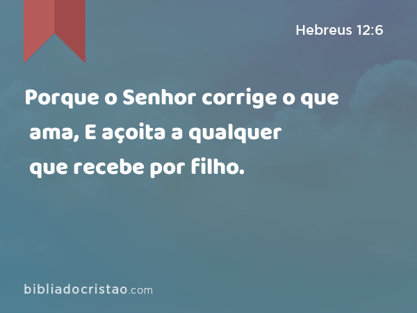 Porque o Senhor corrige o que ama, E açoita a qualquer que recebe por filho. - Hebreus 12:6