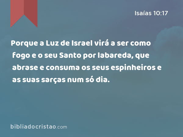 Porque a Luz de Israel virá a ser como fogo e o seu Santo por labareda, que abrase e consuma os seus espinheiros e as suas sarças num só dia. - Isaías 10:17