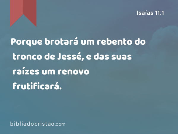 Porque brotará um rebento do tronco de Jessé, e das suas raízes um renovo frutificará. - Isaías 11:1