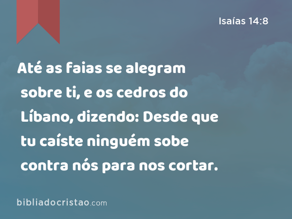 Até as faias se alegram sobre ti, e os cedros do Líbano, dizendo: Desde que tu caíste ninguém sobe contra nós para nos cortar. - Isaías 14:8