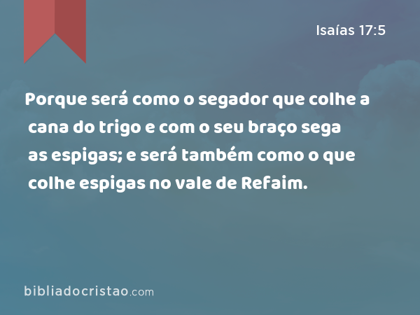 Porque será como o segador que colhe a cana do trigo e com o seu braço sega as espigas; e será também como o que colhe espigas no vale de Refaim. - Isaías 17:5