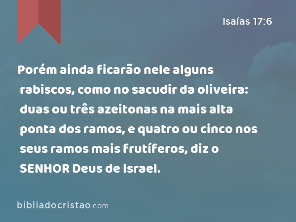 Porém ainda ficarão nele alguns rabiscos, como no sacudir da oliveira: duas ou três azeitonas na mais alta ponta dos ramos, e quatro ou cinco nos seus ramos mais frutíferos, diz o SENHOR Deus de Israel. - Isaías 17:6