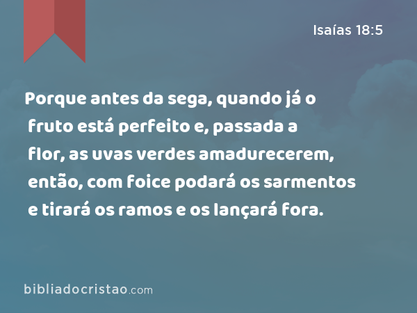 Porque antes da sega, quando já o fruto está perfeito e, passada a flor, as uvas verdes amadurecerem, então, com foice podará os sarmentos e tirará os ramos e os lançará fora. - Isaías 18:5