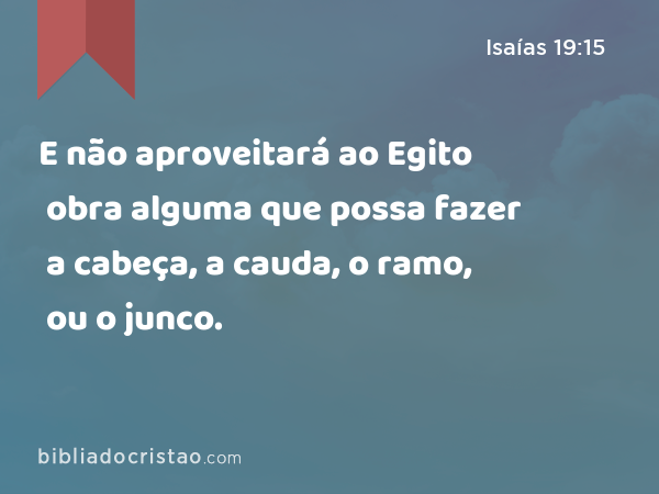 E não aproveitará ao Egito obra alguma que possa fazer a cabeça, a cauda, o ramo, ou o junco. - Isaías 19:15